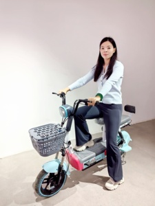 Vélo électrique écologique et abordable avec moteur à moyeu arrière 48V et options de couleurs élégantes pour les déplacements quotidiens - Product Image 2