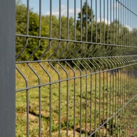 Panneau de clôture en treillis métallique 3D pour jardin domestique, plis en V, treillis soudé