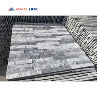 Carreaux extérieurs de revêtement de mur de pierre de placage 3D de pierre de rebord de pierre de mur de quartzite
