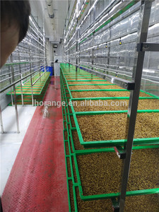 New hydroponics thức ăn gia súc máy lúa mì/lúa mạch thức ăn gia súc nảy mầm hệ thống - Product Image 4