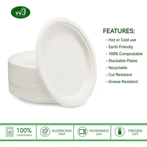 VVG pfas piatto da pranzo in carta bagassa biodegradabile ovale bianco monouso ecologico da 12 pollici per ristorante per feste