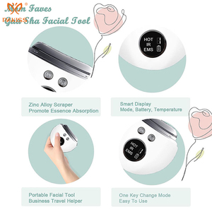 เครื่องนวดหน้าและยกกระชับผิวหน้า PAKISS แบบพกพา ชาร์จผ่าน USB ใช้ไมโครเคอร์เรนท์และการสั่นสะเทือน - Product Image 3
