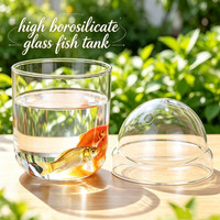 Articles de décoration de Rome : Terrarium en verre transparent pour mousse, vase en verre soufflé à la main pour plantes hydroponiques avec couvercles en dôme et trou