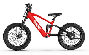 TESORO Lianmei Vélo Tout-Terrain Électrique Sans Balais pour Ados et Enfants, 18 et 20 Pouces, 36V 350W - Product Image 5