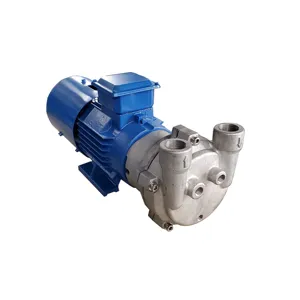 2BV2071/3.85KW/Water Ring Vacuum Pump/Liquid Ring Vacuum Pump