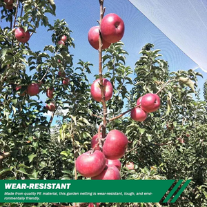Filet anti-grê<span class=keywords><strong>le</strong></span> en HDPE avec protection anti-oiseaux, résistant aux UV et indéchirable, conception anti-âldonnement pour vergers, fermes, jardins. - Product Image 6