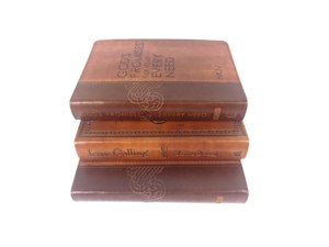 Debossed kapak logosu ve altın folyo damga termal ciltleme ile özelleştirilmiş A5 PU günlüğü deri not defteri - Product Image 2