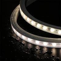 Lentille optique linéaire flexible tout autour pliable 16*16 MM DC24V IP67 Imperméable à l'eau Wall Washer LED Light IP65 Rating SMD2835 LEDs