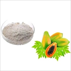 Polvo de Enzima Proteasa de Papaína Más Vendido para Ablandar Carne, Grado Alimenticio, Disponible a Buen Precio - Product Image 5