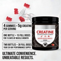 Vente en gros OEM Marque privée Saveur personnalisée Sans sucre Halal Végétalien Croissance musculaire Pré-entraînement 5g Créatine monohydrate Gomme 5000mg