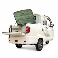 Tricycle électrique mini-pickup à 3 roues avec cabine fermée, trike cargo à carrosserie en acier, couleur personnalisée pour la famille et les personnes âgées