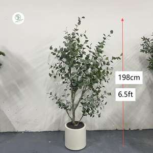 Venta al por mayor decoración del hogar Planta artificial seca eucalipto flor seca en maceta inmortal hoja de eucalipto artificial bonsái - Product Image 3