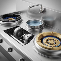 Cuisinière professionnelle en acier inoxydable à gaz naturel avec brûleur wok et double zone de contrôle pour restaurant chinois