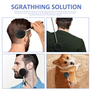 Đồ chơi massage thú cưng bằng thép không gỉ gấp gọn tương tác dành cho mèo, chó, thỏ - Thiết kế có thể kéo dài để huấn luyện và gắn kết tình cảm - Product Image 3