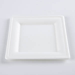 <span class=keywords><strong>Assiette</strong></span> carrée <span class=keywords><strong>jetable</strong></span> de haute qualité de 10 pouces plateau à gâteau cartons de bonne qualité sucre bagasse boîte à lunch <span class=keywords><strong>jetable</strong></span> - Product Image 6