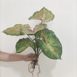 Cây giả trang trí in 3D, hình quả sung, có rễ, lá giả, chất liệu như thật - Product Image 3