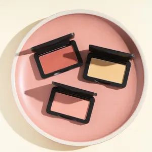 गर्म शैली सबसे अच्छा बेच blusher oem गुलाबी मेकअप पैलेट teint blusher