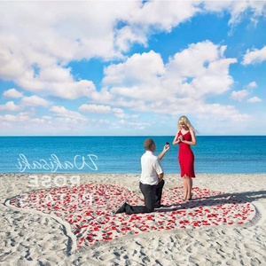 1000 pièces <span class=keywords><strong>de</strong></span> pétales <span class=keywords><strong>de</strong></span> rose artificiels Real Touch pour créer une atmosphère romantique et surprenante - Product Image 4
