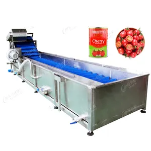 Turnkey Project Canned Small Tomato Production Line Food Canning Machine