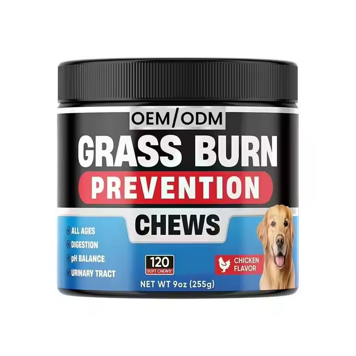 Chien herbe vert doux mâche
