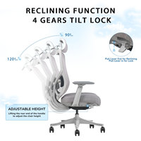 Chaise de bureau ergonomique en maille, pivotante et réglable, avec dossier rembourré, soutien lombaire confortable et appui-tête 3D, idéale pour les directeurs et les cadres.
