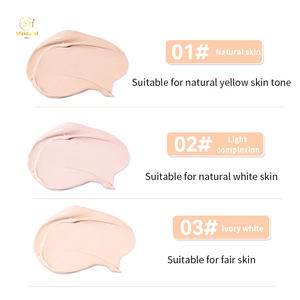 Private Label coreano cosmetico cuscino d'aria fantasia opaca impermeabile a copertura completa fondotinta in polvere naturale tono scuro - Product Image 3