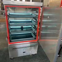 Vaporera de Arroz Comercial a Gas de 12 Bandejas, Acero Inoxidable 201, GLP/GN para Restaurante/Cantina, con Certificación CE