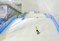 Tapis de ski sec professionnel, tapis d'entraînement pour le ski et le snowboard avec absorption des chocs