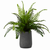 Offre Spéciale Oh Arts : Plante Artificielle Petite, Faux Plante en Pot, Fougères