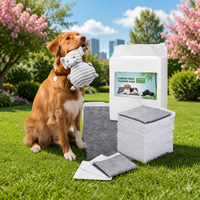 Tapis d'apprentissage pour chiots imperméables et parfumés de haute qualité, jetables, pour la vente en gros