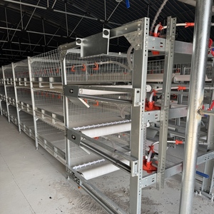 Batteria ottimale tipo H gallina gabbia per uova strato di pollo animali pollame attrezzature macchine agricole da un fornitore - Product Image 6