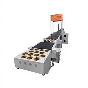 نظام فنغوانغ DWS الآلي لوزن وفحص وفرز الطرود باستخدام تقنية PLC للمستودعات اللوجستية - Product Image 1
