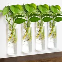 Vase mural en verre léger et moderne pour la décoration de la maison, pour plantes hydroponiques, vases à fleurs suspendus, lot de 4