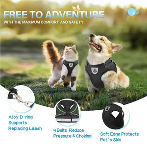 Chaleco ajustable de malla suave para cachorros de mascotas con correa reflectante, arnés de ajuste cómodo, conjunto de correa para caminar, conjunto de arnés para perros - Product Image 3