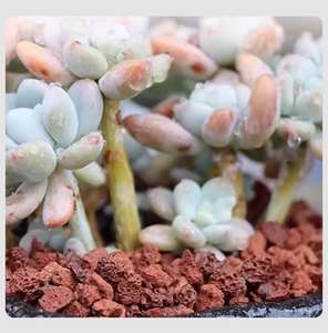 Filtre à <span class=keywords><strong>eau</strong></span> en roche volcanique céramique rouge, granulés de 2-5 cm pour l'aménagement paysager d'aquariums avec nitrification, marque JINAN NOVA - Product Image 5