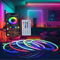 Bande lumineuse LED flexible intelligente RGB WS2812b à commande par application, décoration de jardin de Noël, éclairage extérieur étanche