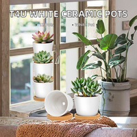 Ensemble de 12 pots à cactus en céramique T4u, ronds, décoratifs, blancs, pour plantes d'intérieur, avec soucoupes, pour les amateurs de plantes, décoration de bureau, étagère, fenêtre