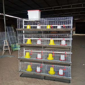 <span class=keywords><strong>Galvanizado</strong></span> barato bebé chica jaulas en jaulas de animales de granja de diseño - Product Image 1