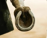 Fers à cheval en fonte personnalisables pour décoration murale intérieure ou extérieure Quincaillerie robuste pour propriétaires de chevaux