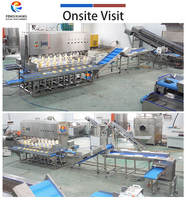 Machine à peler et à trancher les mangues/taro/papayes Fengxiang, moteur/engin en acier inoxydable 304, haute capacité 1800 pièces/h, CE ISO