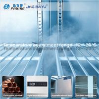 JINGBAIYU TD-09 Commerciële Vrieskist Snelle Koeling Eenvoudige Bediening Luchtkoeling Horizontaal Slagerij Vleeswinkel -12°C
