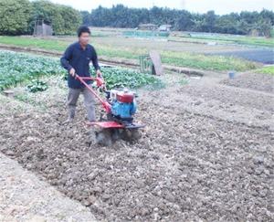 Лучшее качество, низкая цена, 6.5hp-15hp дизельный бензиновый мотокультиватор, трактор, прицеп, мини-роторный культиватор в Индии - Product Image 6