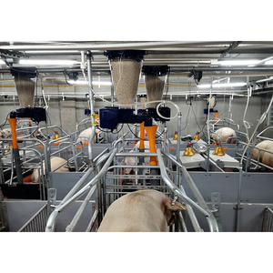 Farm Equip Pig Smart Feedermangeoire Et Abreuvoire Porc/Alimentador y bebedero de cerdos - Product Image 5