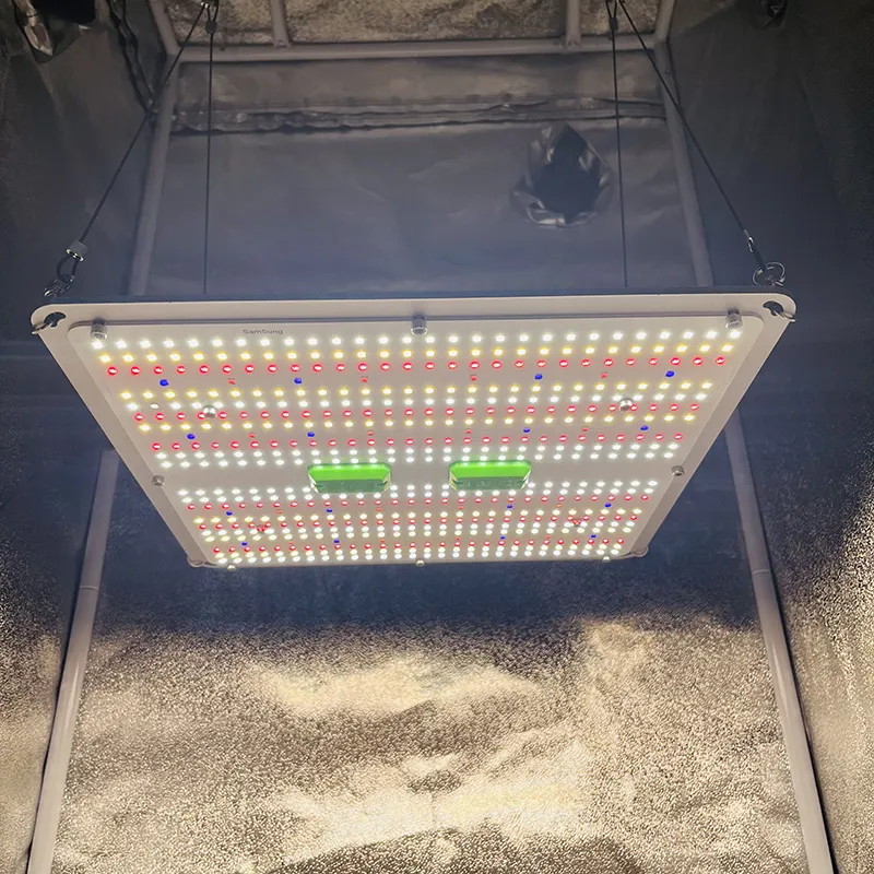 KingBrite 150W 삼성 LM301H EVO LED가 UV 및 IR 채널로 빛을 성장