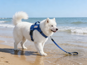 YG-8010 <span class=keywords><strong>Harness</strong></span> <span class=keywords><strong>Vest</strong></span> Anjing Berbahan Nylon, Empuk, dan Bernapas untuk Dada dan Punggung Anak Anjing - Product Image 3