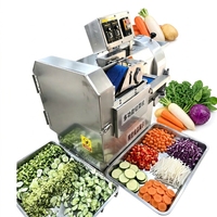 Machine à découper multifonctionnelle en acier inoxydable pour fruits et légumes, carottes, pommes de terre, en bâtonnets, en chips, en dés, avec engrenage