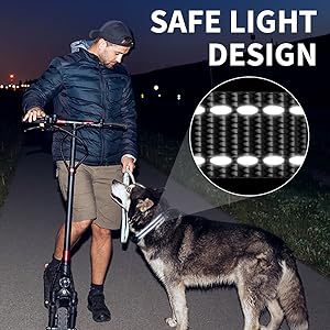PATPET USB recargable eléctrico LED perro entrenamiento Collar entrenador Beeper choque Anti ladrido Control remoto entrenamiento perro equipo - Product Image 2