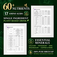 Vente en gros de sève de bouleau en vrac, OEM ODM, personnalisée, issue de récolte sauvage, sans additifs, pour supermarchés et marchés de cadeaux de fin d'année