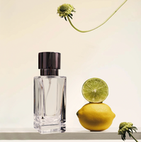 Vente en gros 30ml 50ml 100ml emballage de luxe cristal parfum carré rechargeable fond épais verre vide bouteille de parfum