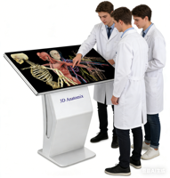 Système d'enseignement médical universitaire 3D Anatomix : Table de dissection virtuelle HD du corps humain en 3D